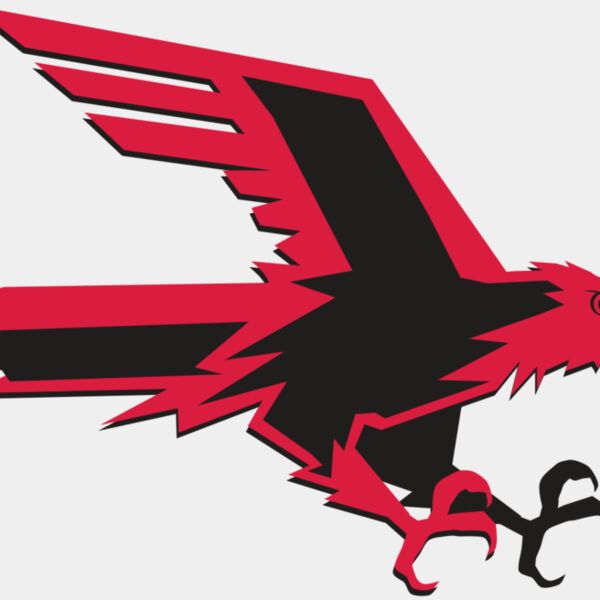 AR9 FALCON 02 RQC Thumbnail