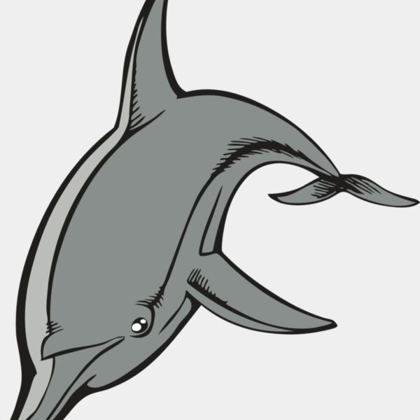 BAW DOLPHIN 03 RC Thumbnail