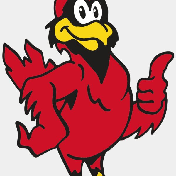 AR CARDINAL 26 RC Thumbnail