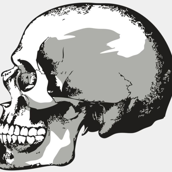 AR24 SKULL 02 RQC Thumbnail