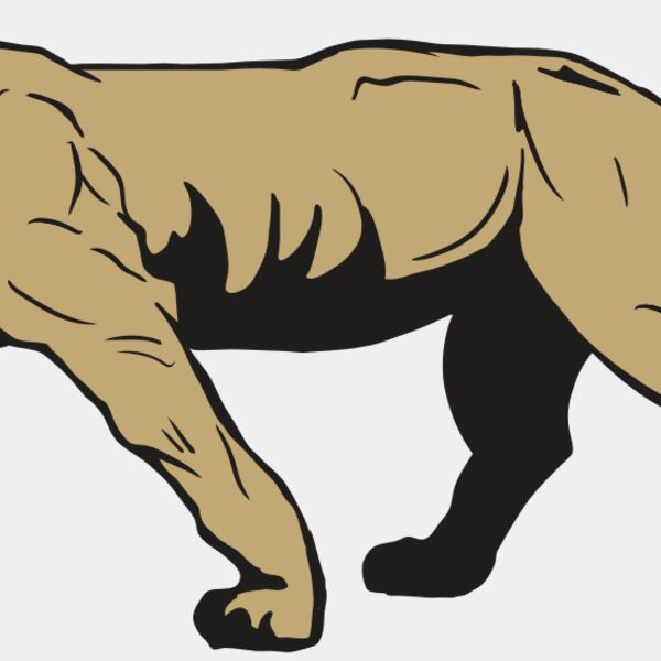 AR10 PANTHER 04 RQC Thumbnail