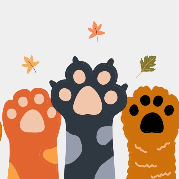 Green Pink Blue Sky and Cat Illustration Desktop Wallpaper Thumbnail